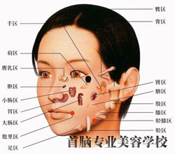 面部穴位指压法