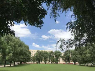 北大青鸟
