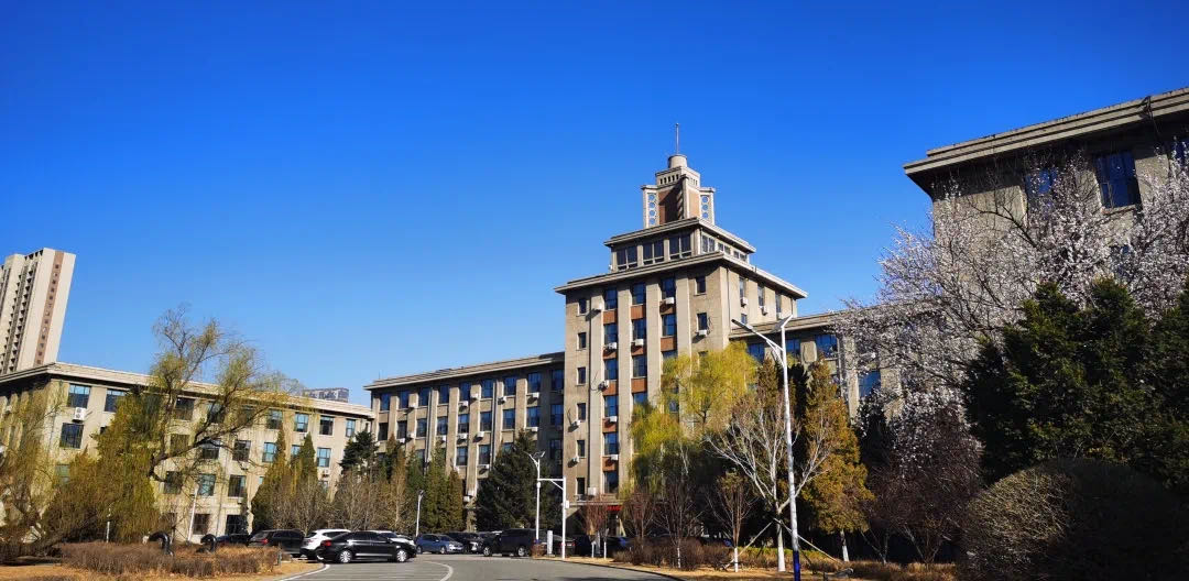 图片5