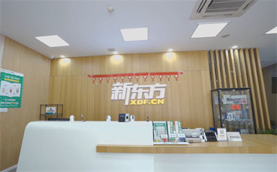 南京新东方 幼儿小学辅导