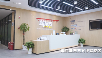南京新东方 幼儿小学辅导