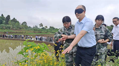 白领尔（重庆）家庭教育服务