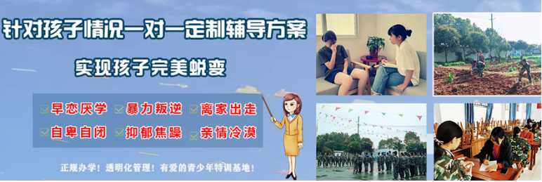 微信截图_20230523161638