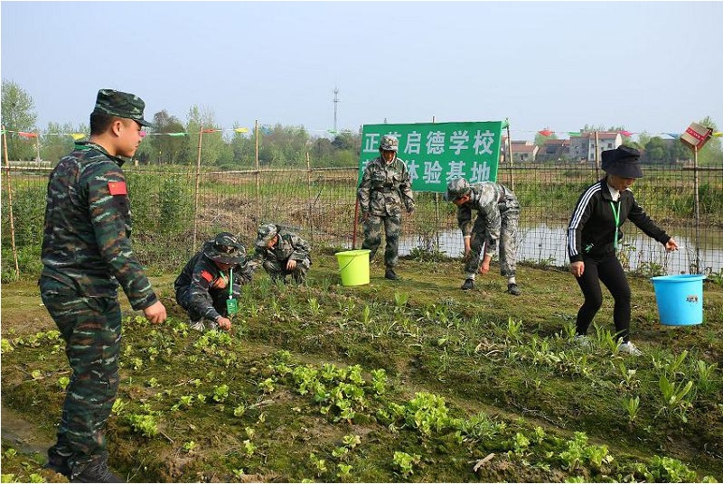 微信截图_20231008113826