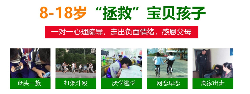 微信截图_20240223133655