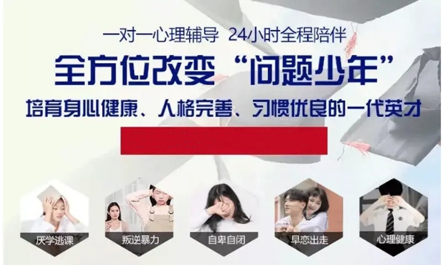 微信截图_20240415133800