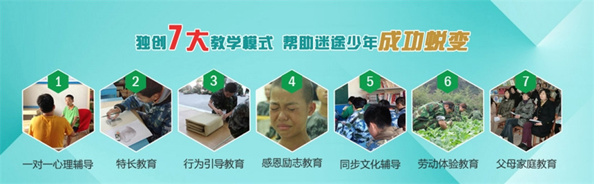 微信截图_20241011110914