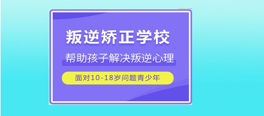 微信截图_20240410140943